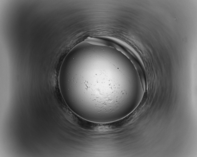 X0000096200413200801181345