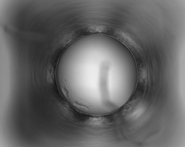 X0000096200414200801181345