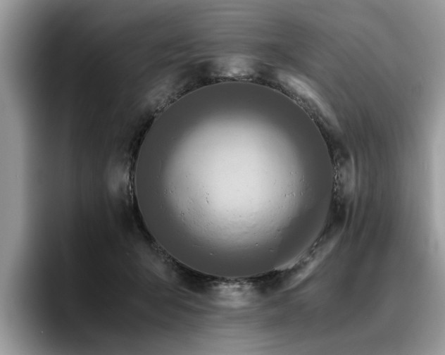 X0000096200415200801181345