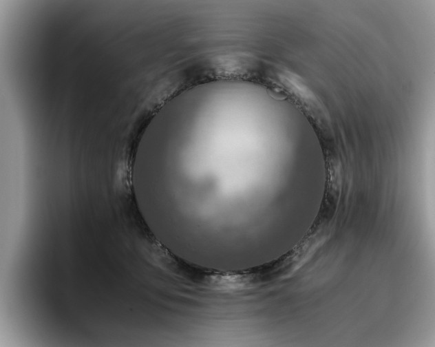 X0000096200419200801181345
