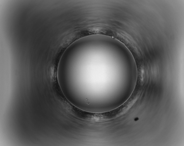 X0000096200420200801181345