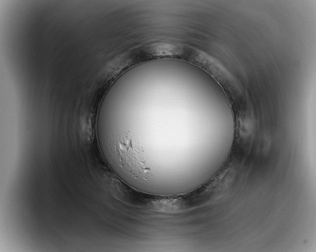 X0000096200422200801181345