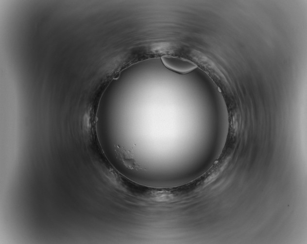 X0000096200424200801181345