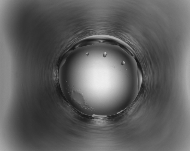 X0000096200425200801181345
