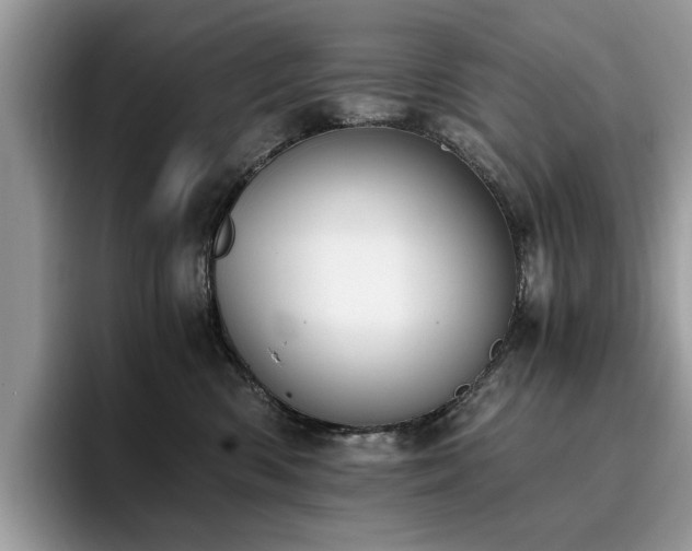 X0000096200426200801181345