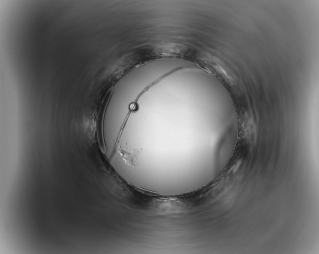 X0000096200427200801181345