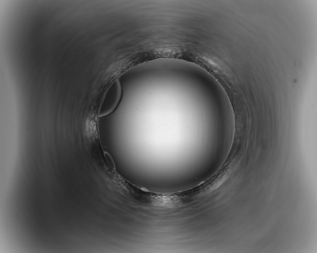 X0000096200432200801181345