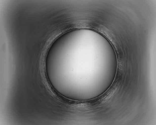 X0000096200433200801181344
