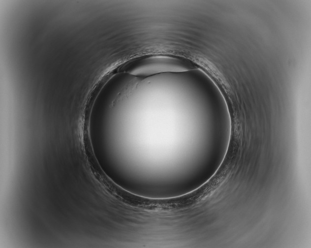 X0000096200434200801181344