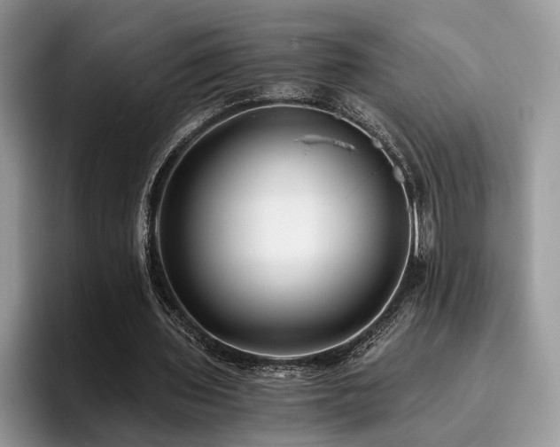 X0000096200435200801181344