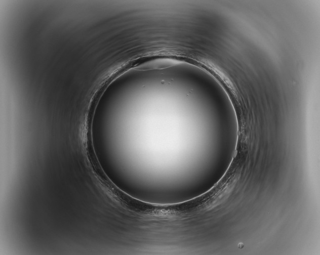 X0000096200437200801181344