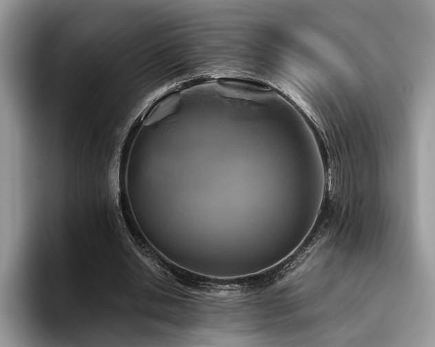 X0000096200438200801181344