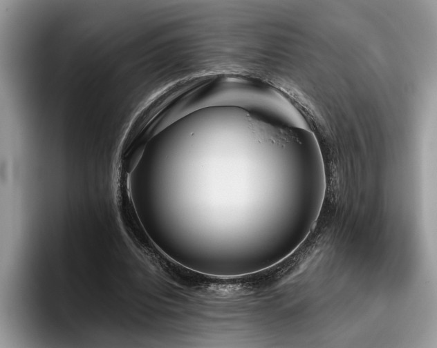 X0000096200440200801181344