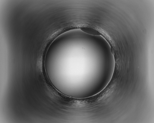 X0000096200442200801181344