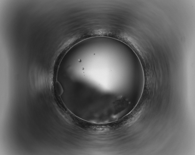 X0000096200443200801181344