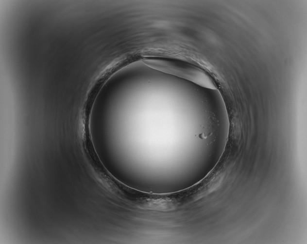 X0000096200446200801181344