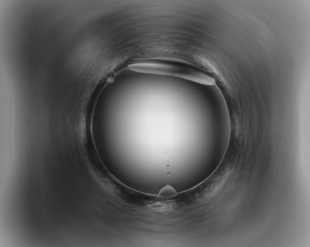 X0000096200447200801181344