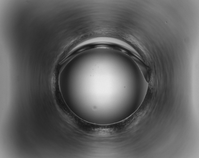 X0000096200448200801181344