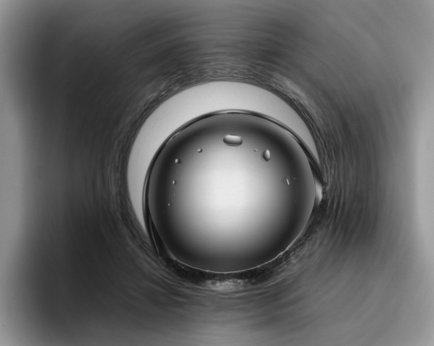 X0000096200452200801181344