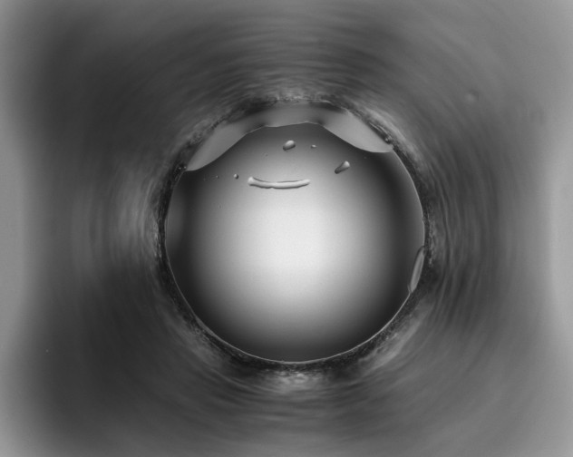 X0000096200453200801181344