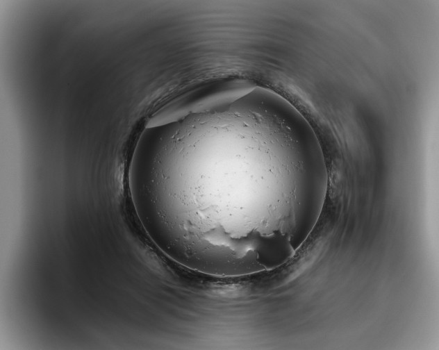X0000096200454200801181344