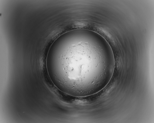 X0000096200455200801181344