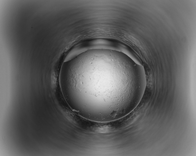 X0000096200456200801181344