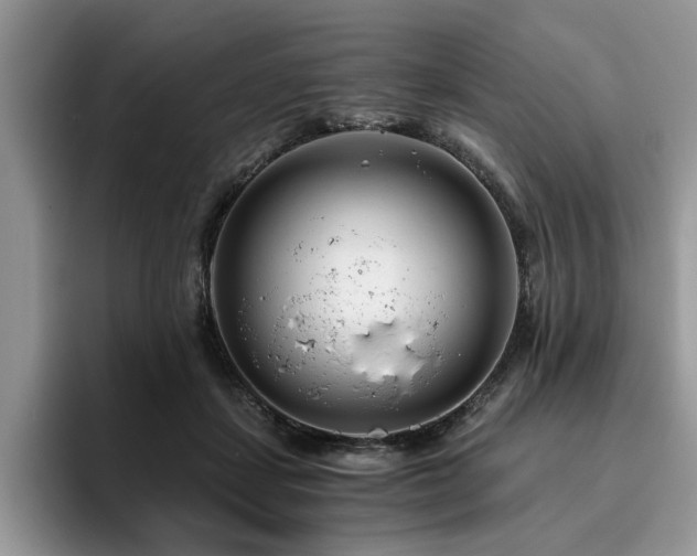 X0000096200459200801181344