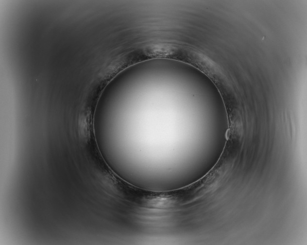 X0000096200460200801181344