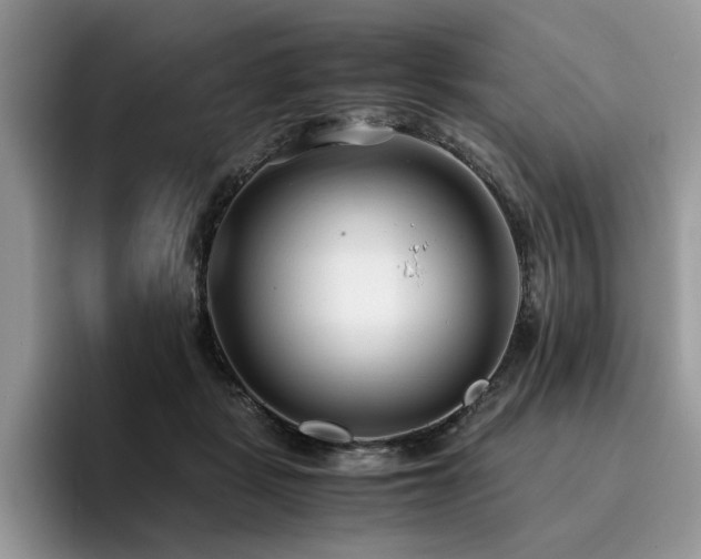 X0000096200461200801181344