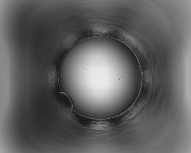 X0000096200463200801181344