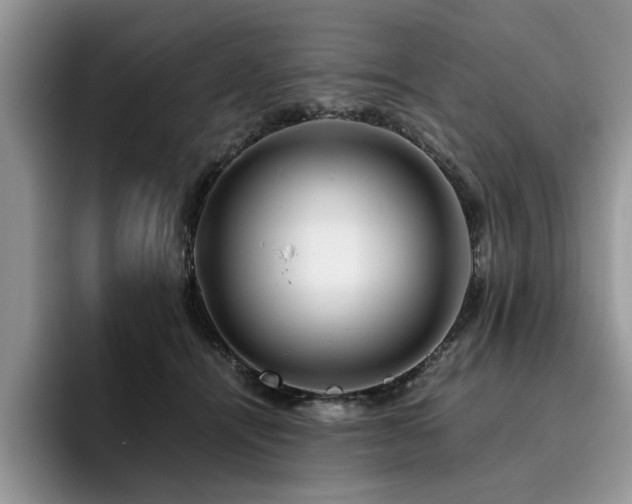 X0000096200464200801181344