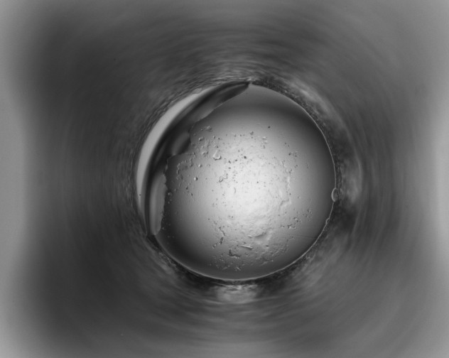 X0000096200465200801181344