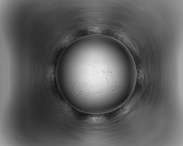 X0000096200466200801181344
