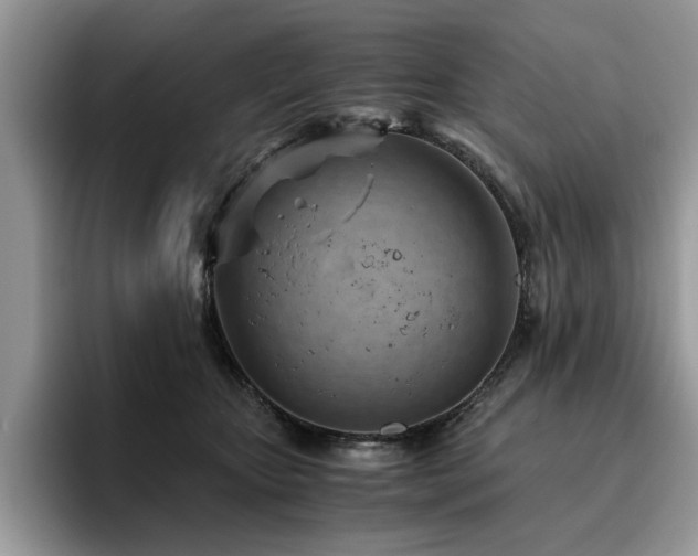 X0000096200467200801181344