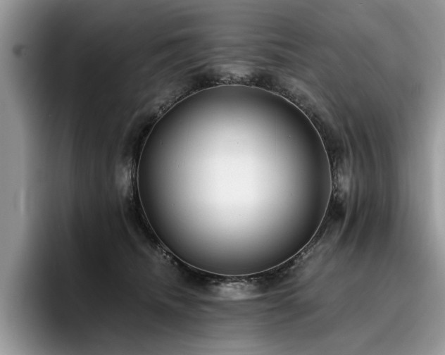 X0000096200468200801181344