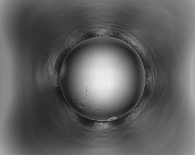 X0000096200469200801181344