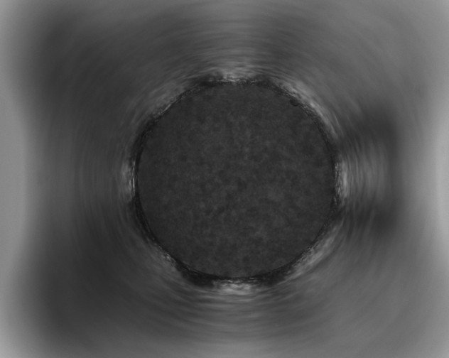 X0000096200471200801181344