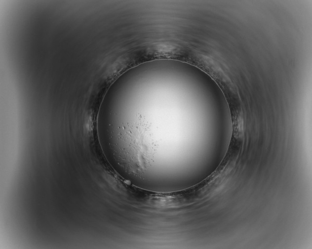 X0000096200472200801181344