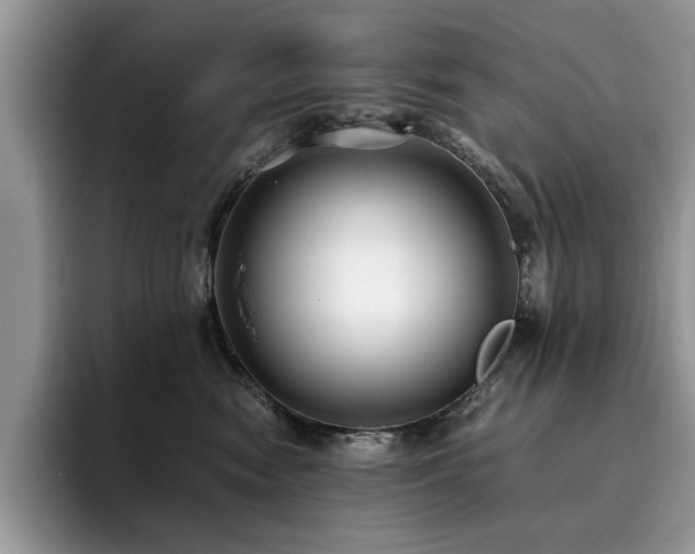 X0000096200474200801181344