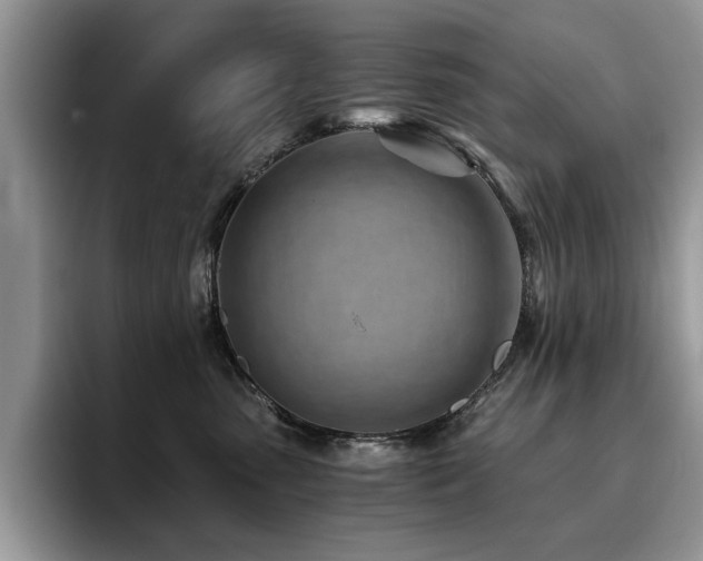 X0000096200475200801181344
