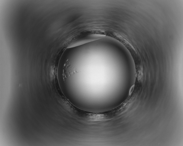 X0000096200476200801181344