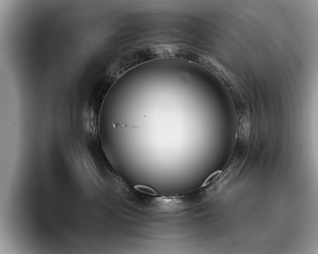 X0000096200477200801181344