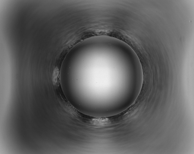 X0000096200480200801181345