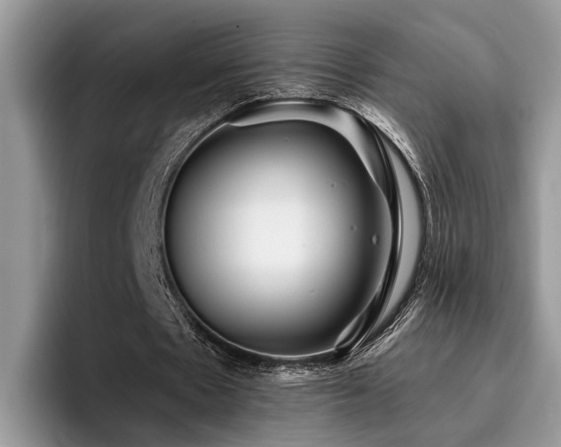 X0000096200481200801181344