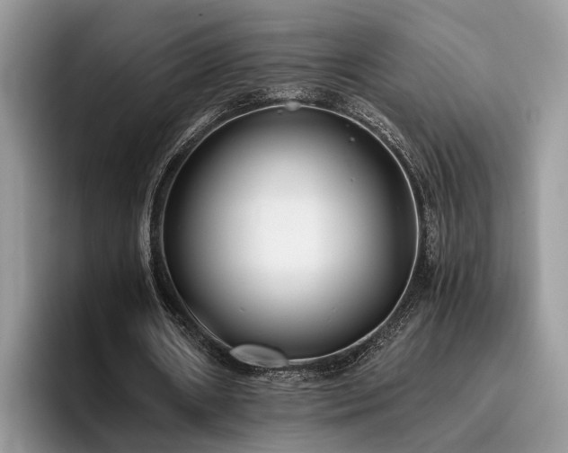 X0000096200482200801181344
