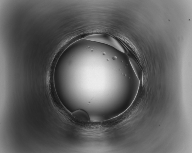 X0000096200483200801181344