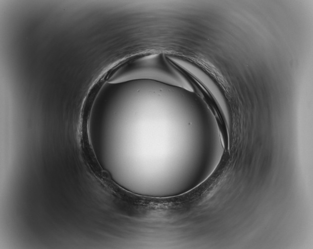 X0000096200484200801181344