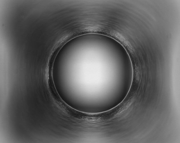 X0000096200486200801181344
