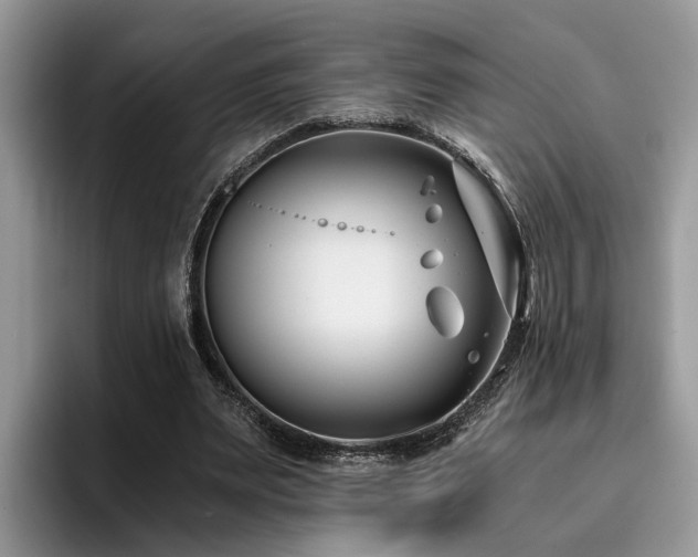 X0000096200487200801181344